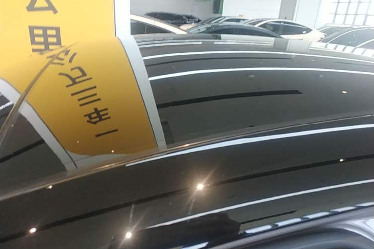 Used firefly 2025 Free Edition Roof
