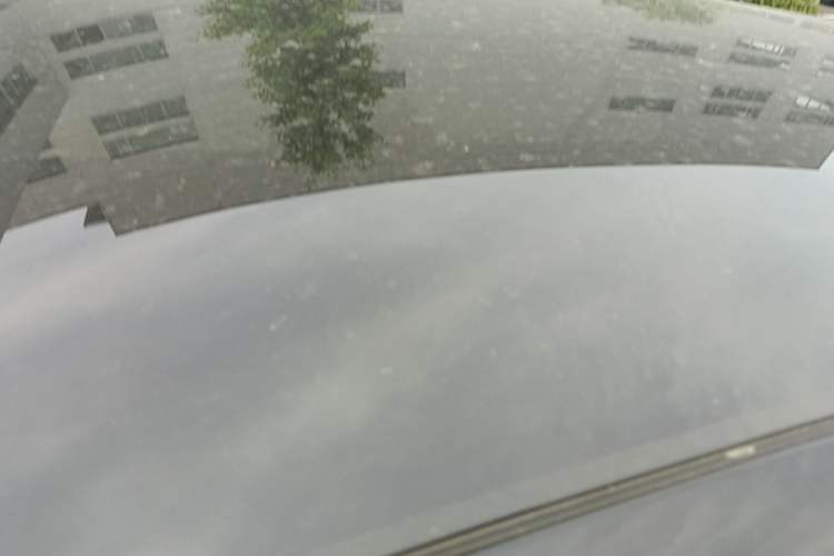 Used firefly 2025 Illuminated Edition Roof