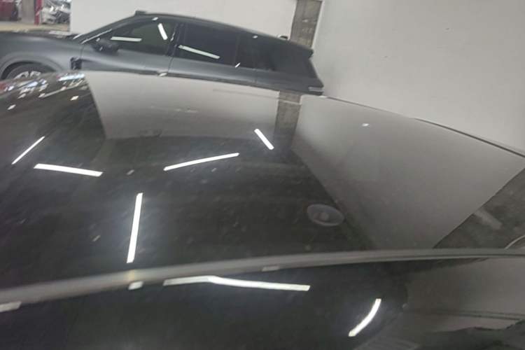 Used firefly 2025 Free Edition Roof