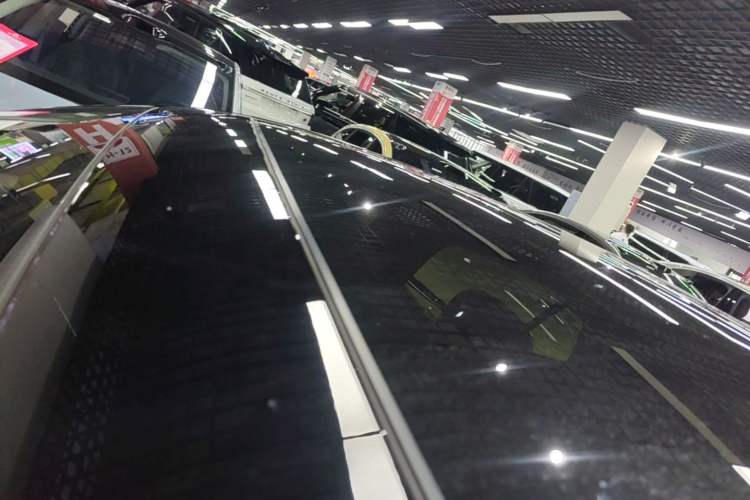 Used firefly 2025 Free Edition Roof