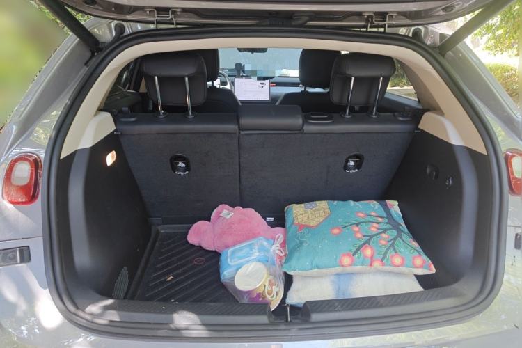 Used firefly 2025 Illuminated Edition Trunk