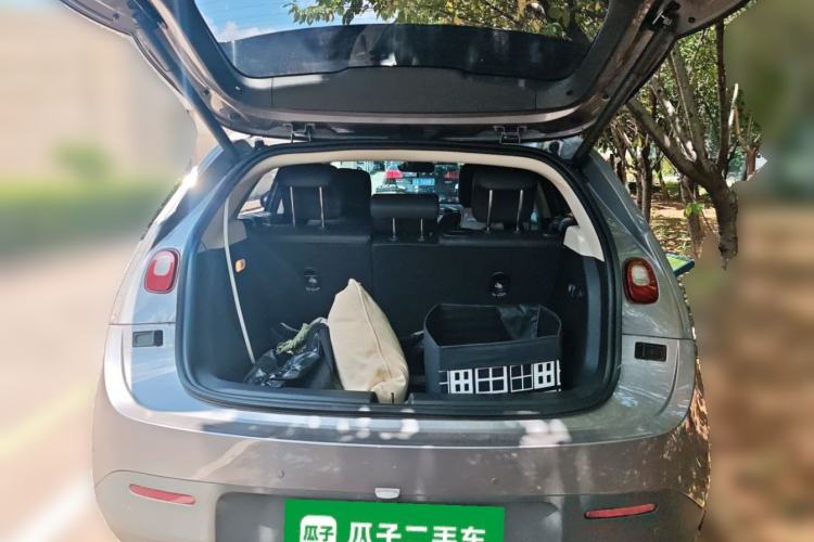 Used firefly  Trunk
