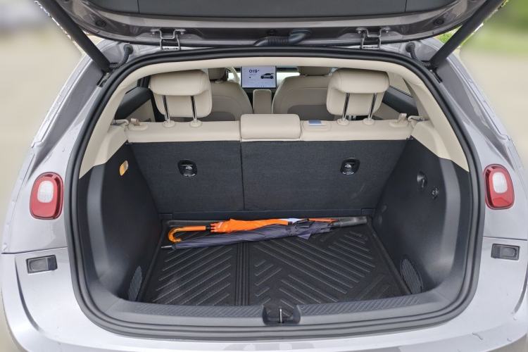 Used firefly  Trunk