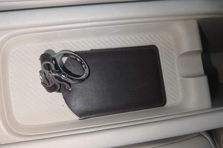 Used firefly 2025 Free Edition Vehicle Key