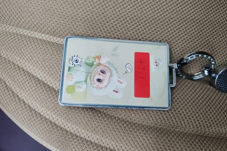 Used firefly 2025 Night Creature Special Edition Vehicle Key