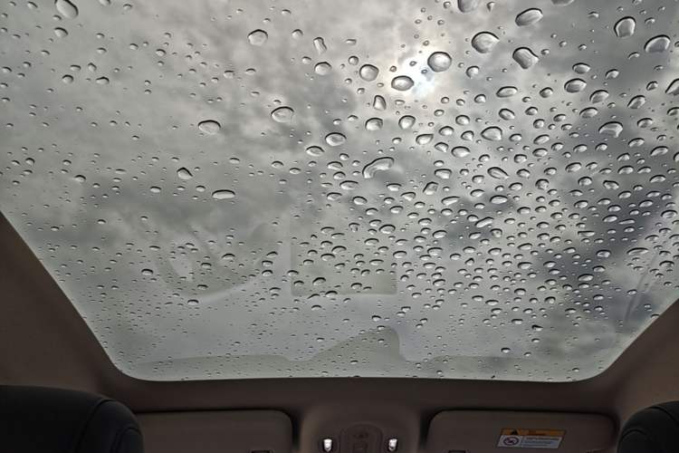 Used firefly 2025 Illuminated Edition Headliner
