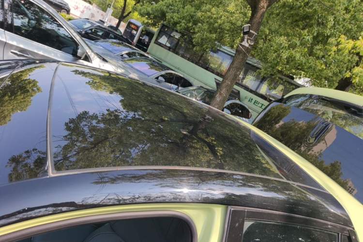 Used firefly 2025 Free Edition Roof