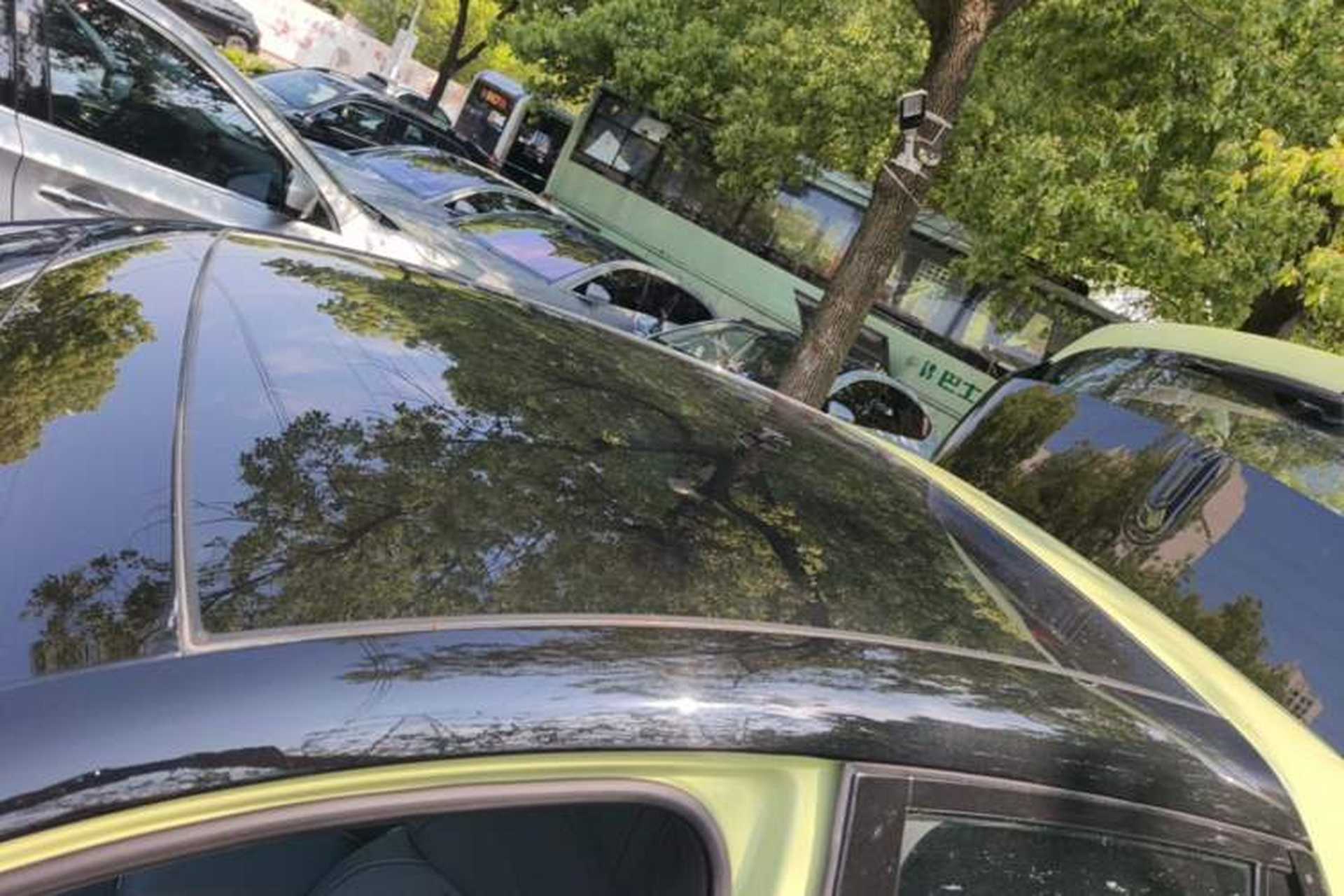 Used firefly 2025 Free Edition Roof