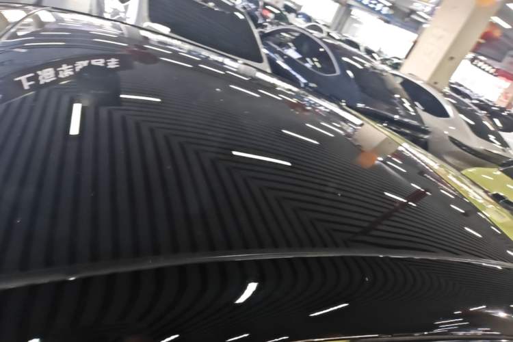 Used firefly 2025 Free Edition Roof