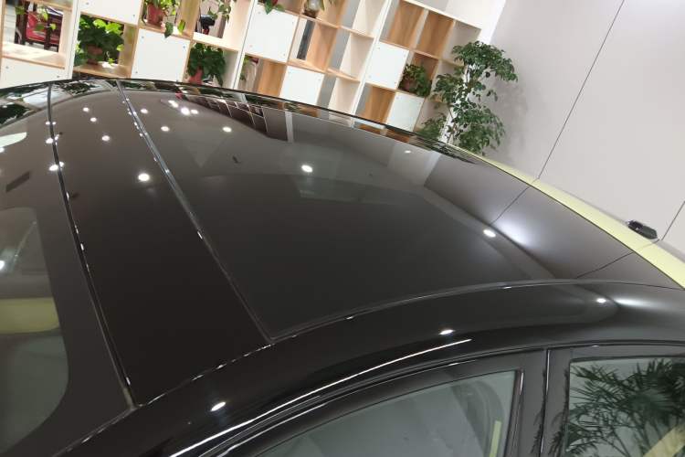 Used firefly 2025 Free Edition Roof