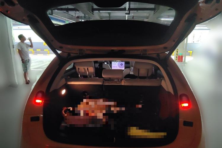 Used firefly 2025 Illuminated Edition Trunk