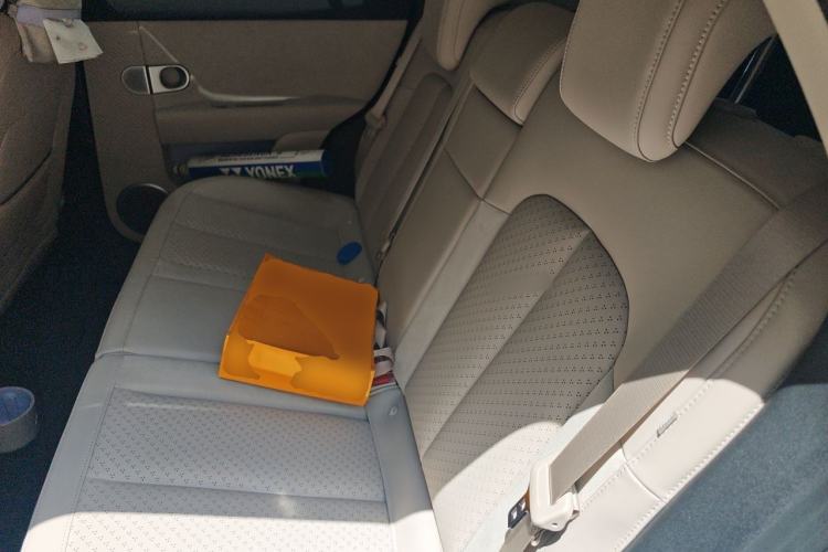 Used firefly 2025 Illuminated Edition Left Rear Seat