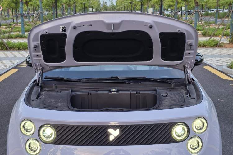 Used firefly 2025 Illuminated Edition Engine Bay