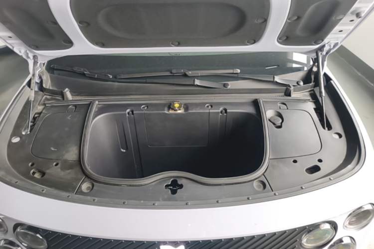 Used firefly 2025 Illuminated Edition Engine Bay