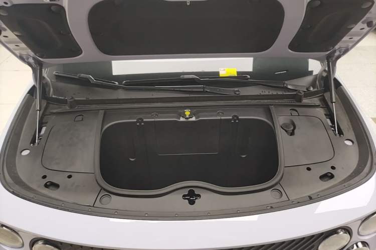Used firefly 2025 Illuminated Edition Engine Bay