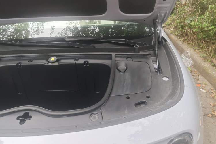 Used firefly 2025 Illuminated Edition Engine Bay Left