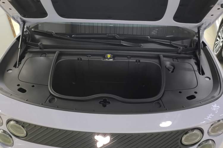 Used firefly 2025 Illuminated Edition Engine Bay