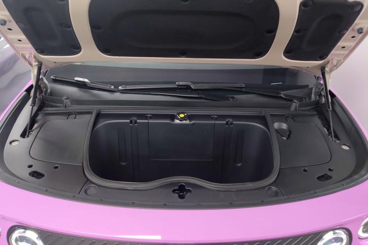 Used firefly 2025 Illuminated Edition Engine Bay