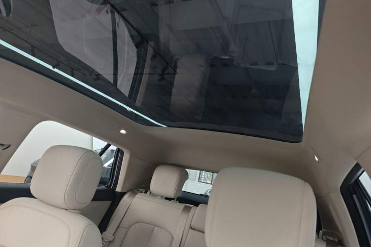 Used firefly 2025 Illuminated Edition Headliner
