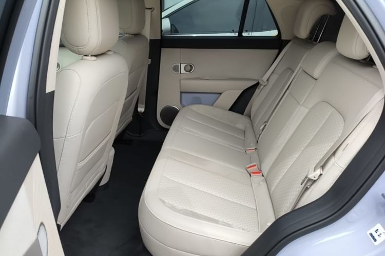 Used firefly 2025 Illuminated Edition Left Rear Seat