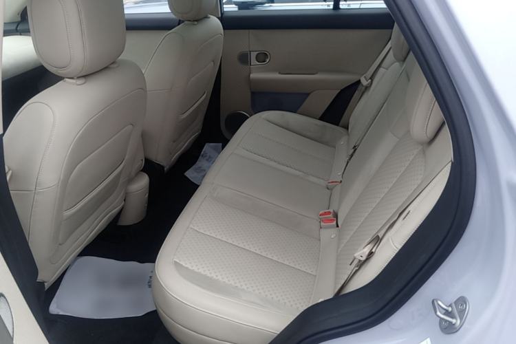 Used firefly 2025 Illuminated Edition Left Rear Seat