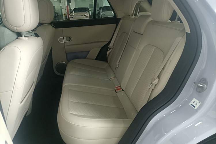 Used firefly 2025 Illuminated Edition Left Rear Seat