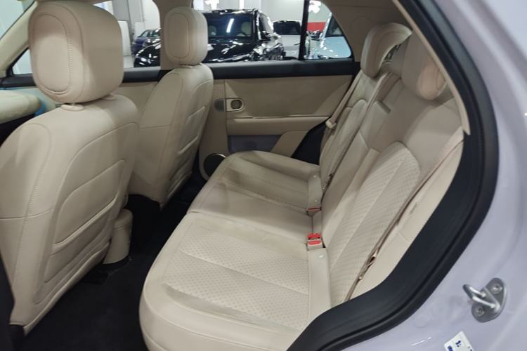 Used firefly 2025 Illuminated Edition Left Rear Seat