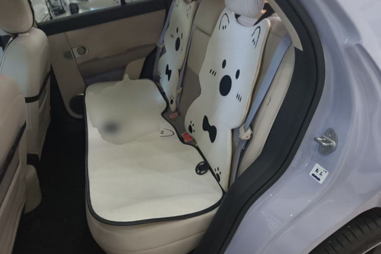 Used firefly 2025 Free Edition Left Rear Seat