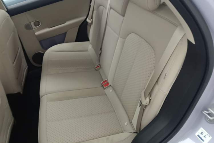 Used firefly 2025 Illuminated Edition Left Rear Seat