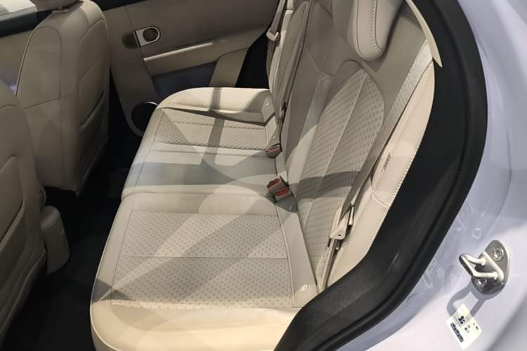 Used firefly 2025 Illuminated Edition Left Rear Seat