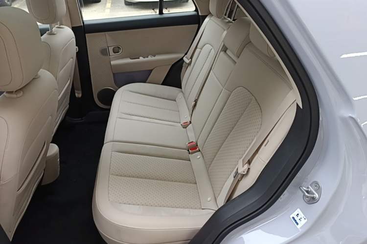 Used firefly 2025 Illuminated Edition Left Rear Seat