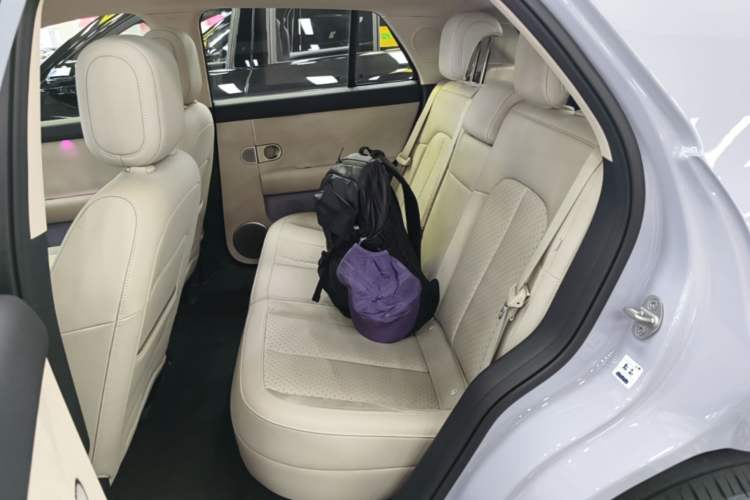 Used firefly 2025 Illuminated Edition Left Rear Seat