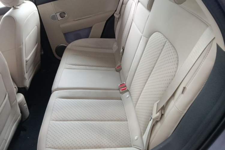 Used firefly 2025 Illuminated Edition Left Rear Seat