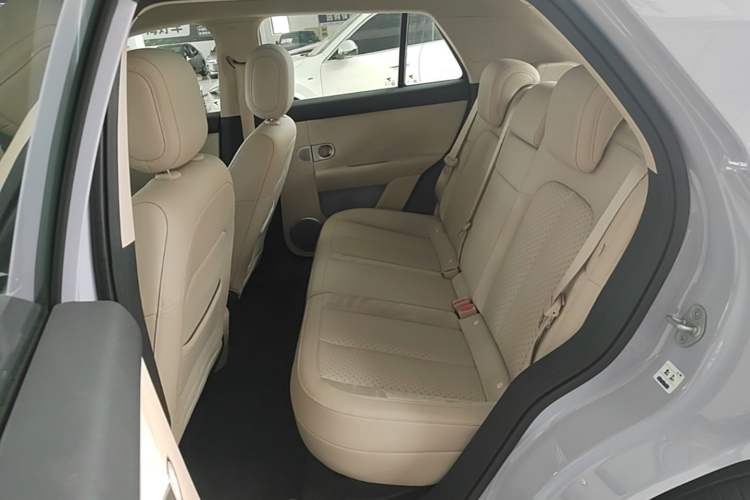 Used firefly 2025 Illuminated Edition Left Rear Seat