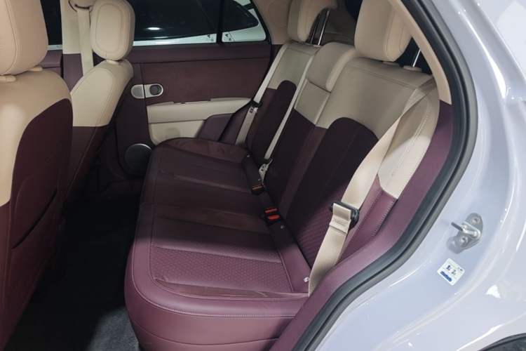 Used firefly 2025 Illuminated Edition Left Rear Seat