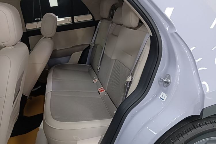 Used firefly 2025 Free Edition Left Rear Seat