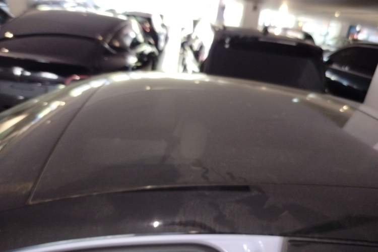 Used firefly 2025 Free Edition Roof