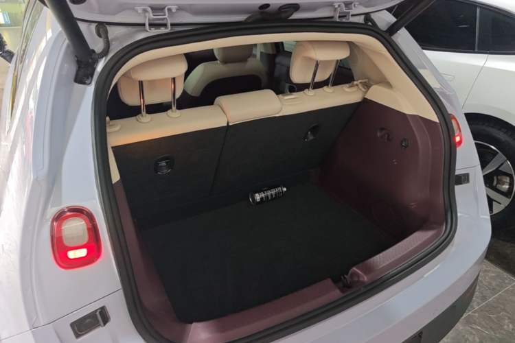 Used firefly 2025 Illuminated Edition Trunk