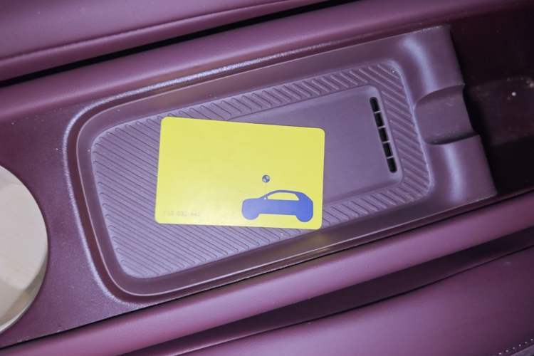 Used firefly 2025 Illuminated Edition Vehicle Key