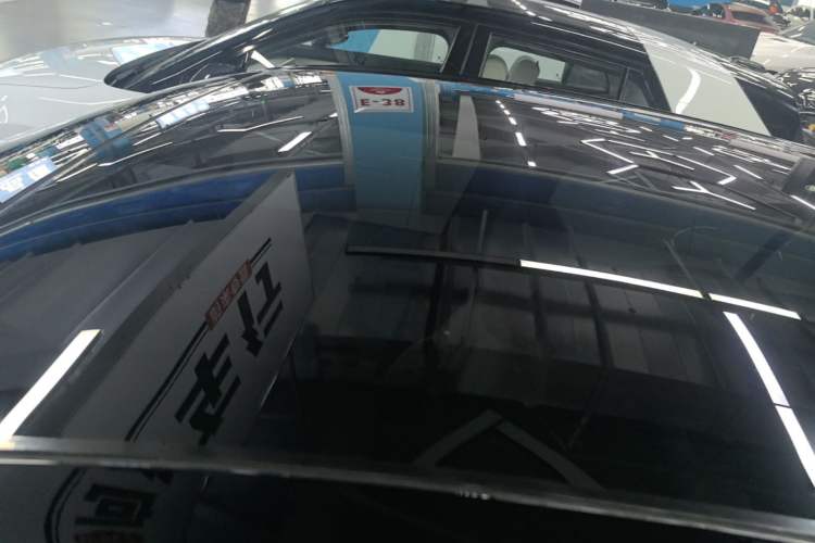 Used firefly 2025 Free Edition Roof