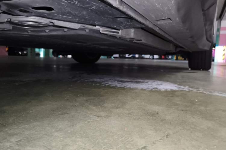 Used firefly 2025 Free Edition Chassis Rear Right