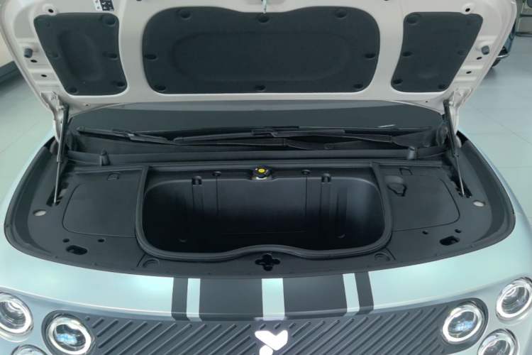 Used firefly 2025 Illuminated Edition Engine Bay