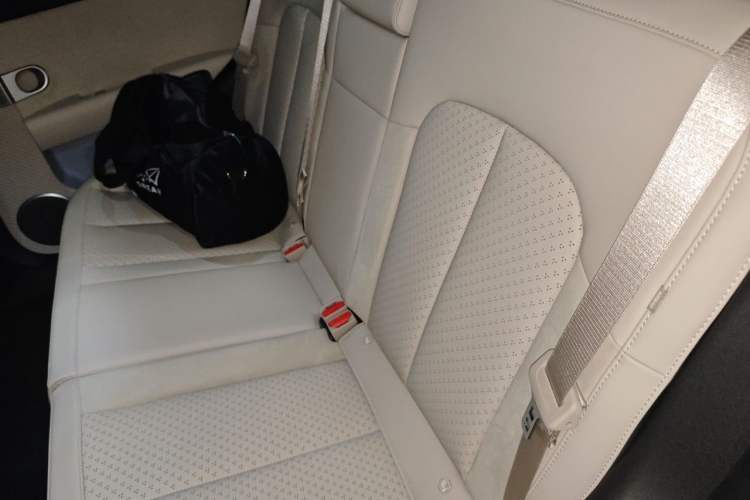 Used firefly 2025 Illuminated Edition Left Rear Seat
