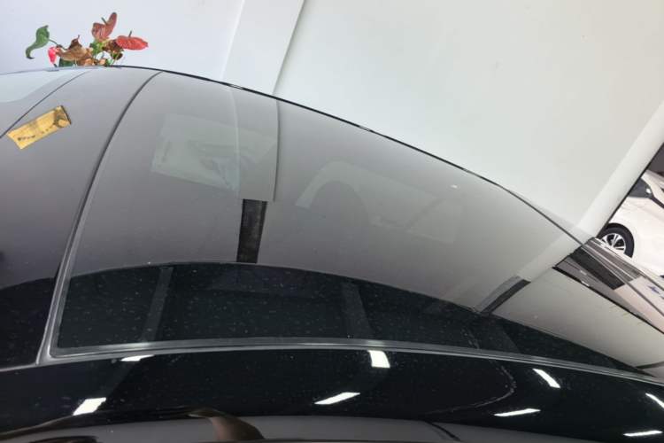 Used firefly 2025 Free Edition Roof