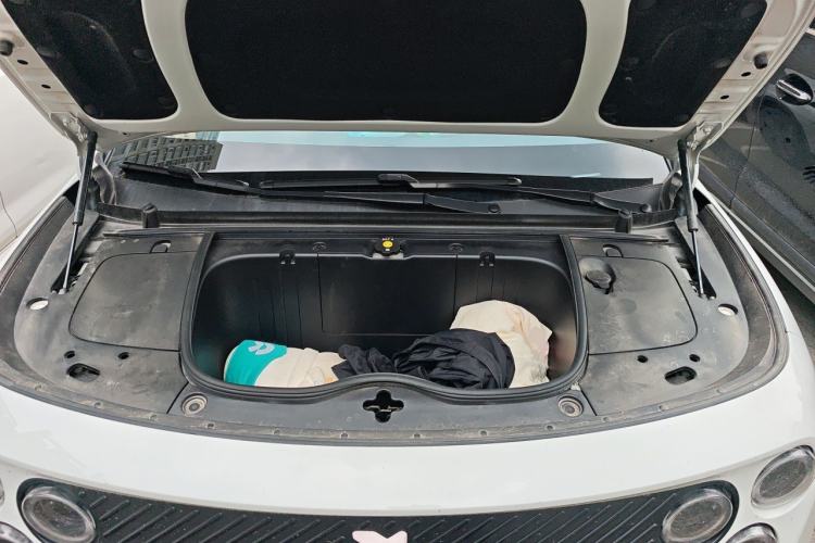 Used firefly 2025 Illuminated Edition Engine Bay