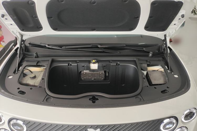 Used firefly 2025 Illuminated Edition Engine Bay