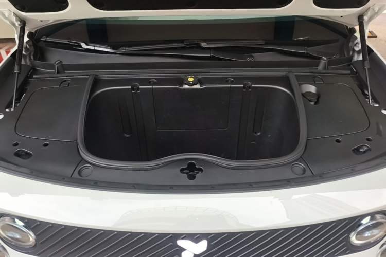 Used firefly 2025 Illuminated Edition Engine Bay