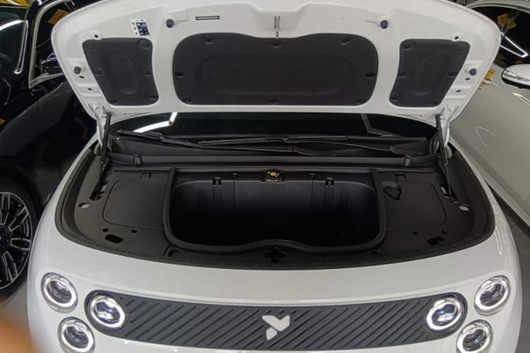 Used firefly 2025 Illuminated Edition Engine Bay