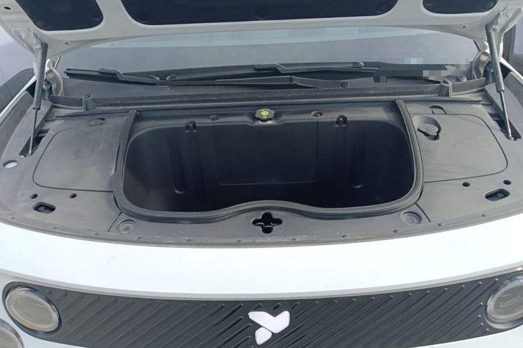 Used firefly 2025 Illuminated Edition Engine Bay