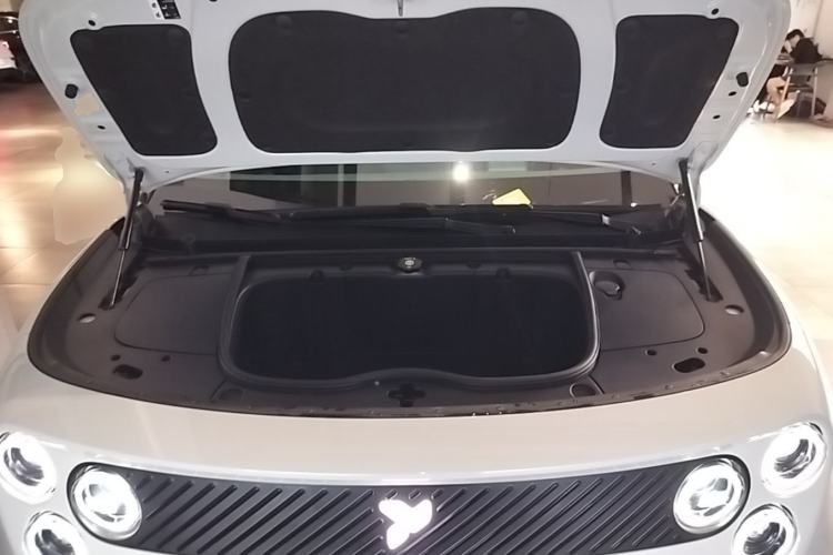 Used firefly 2025 Illuminated Edition Engine Bay
